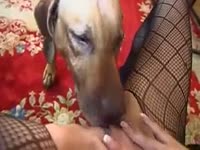 Huge Bore Raped a Girl